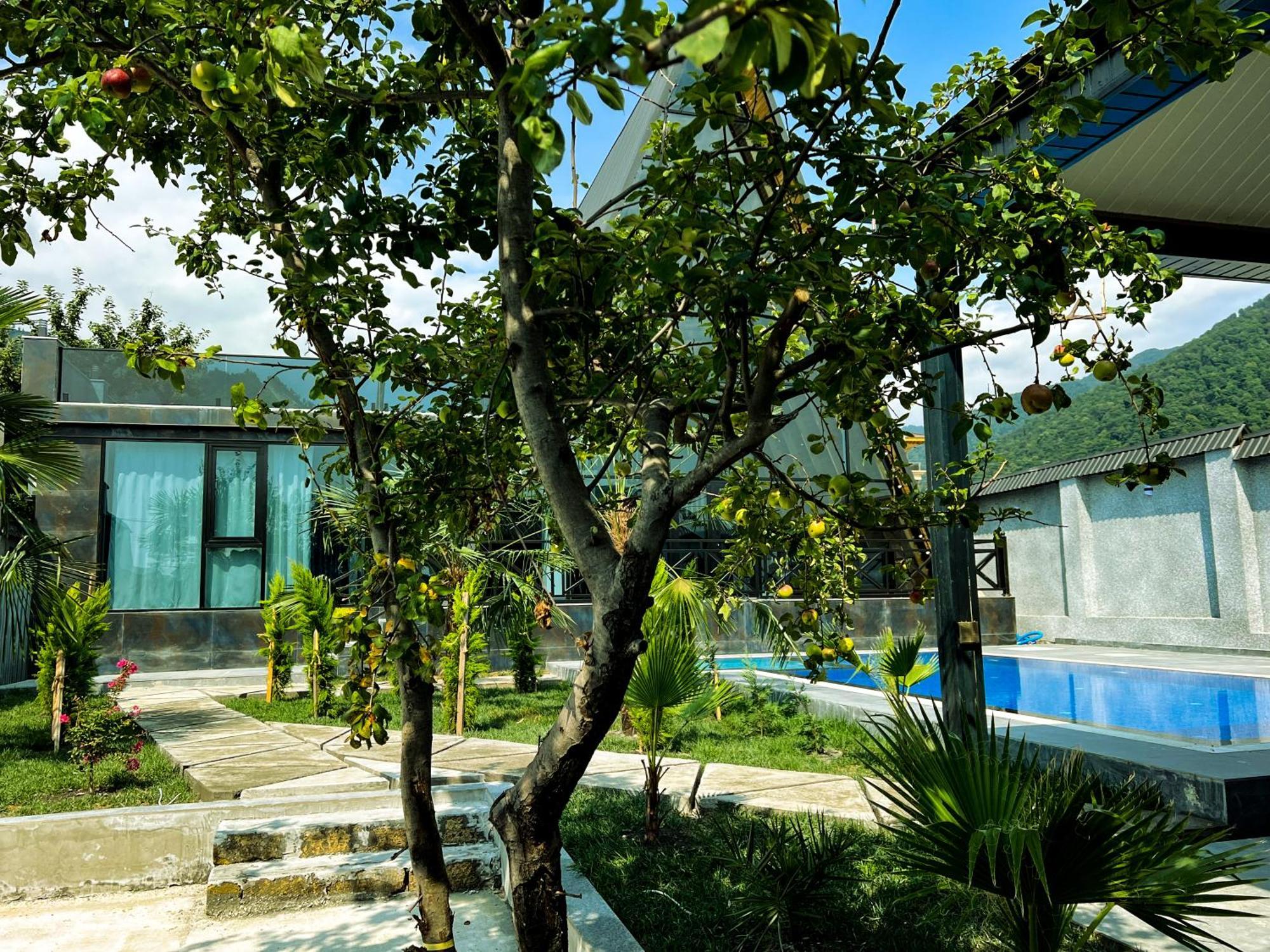Chalet Qafqaz Luxury *